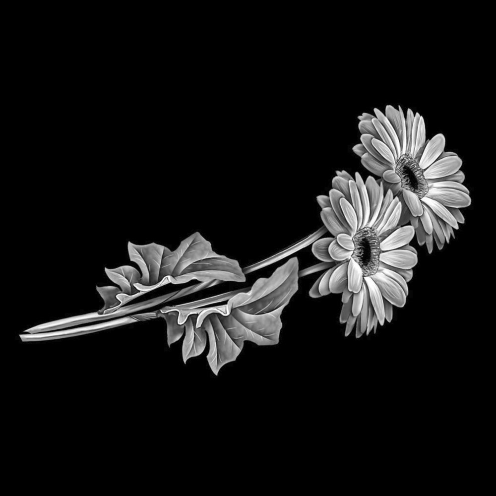 Ромашки Эстетика