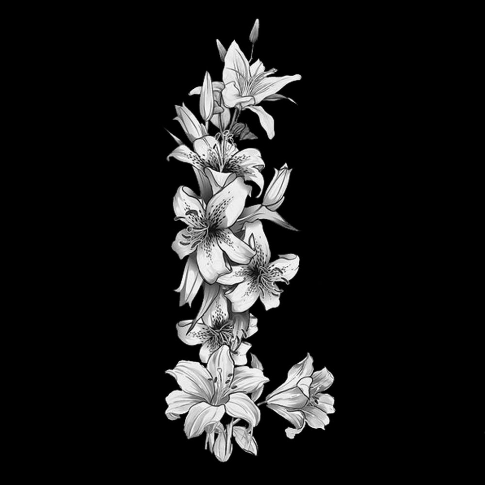 Ромашка черно белая