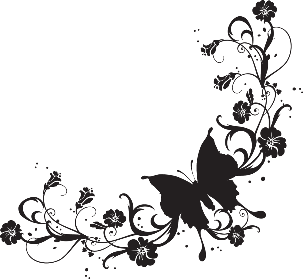 Узоры бабочки на прозрачном фоне