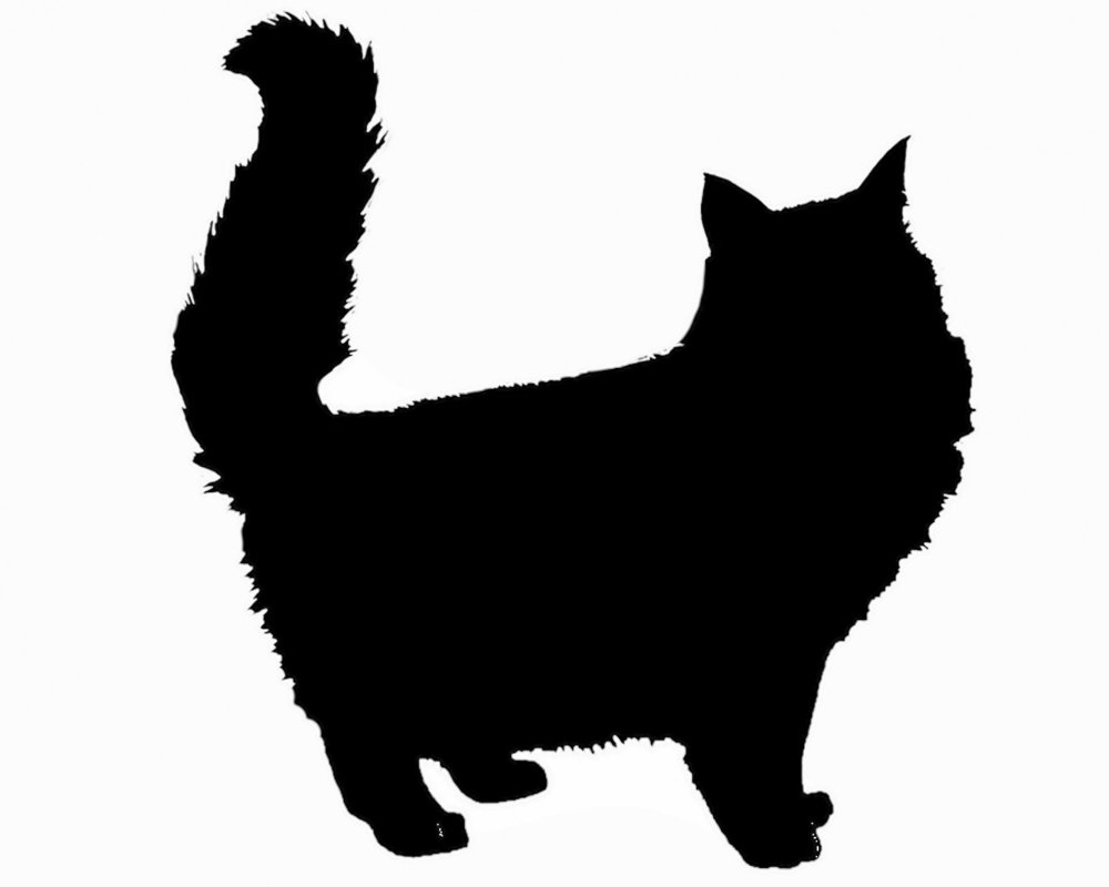 Раскраска много кошек