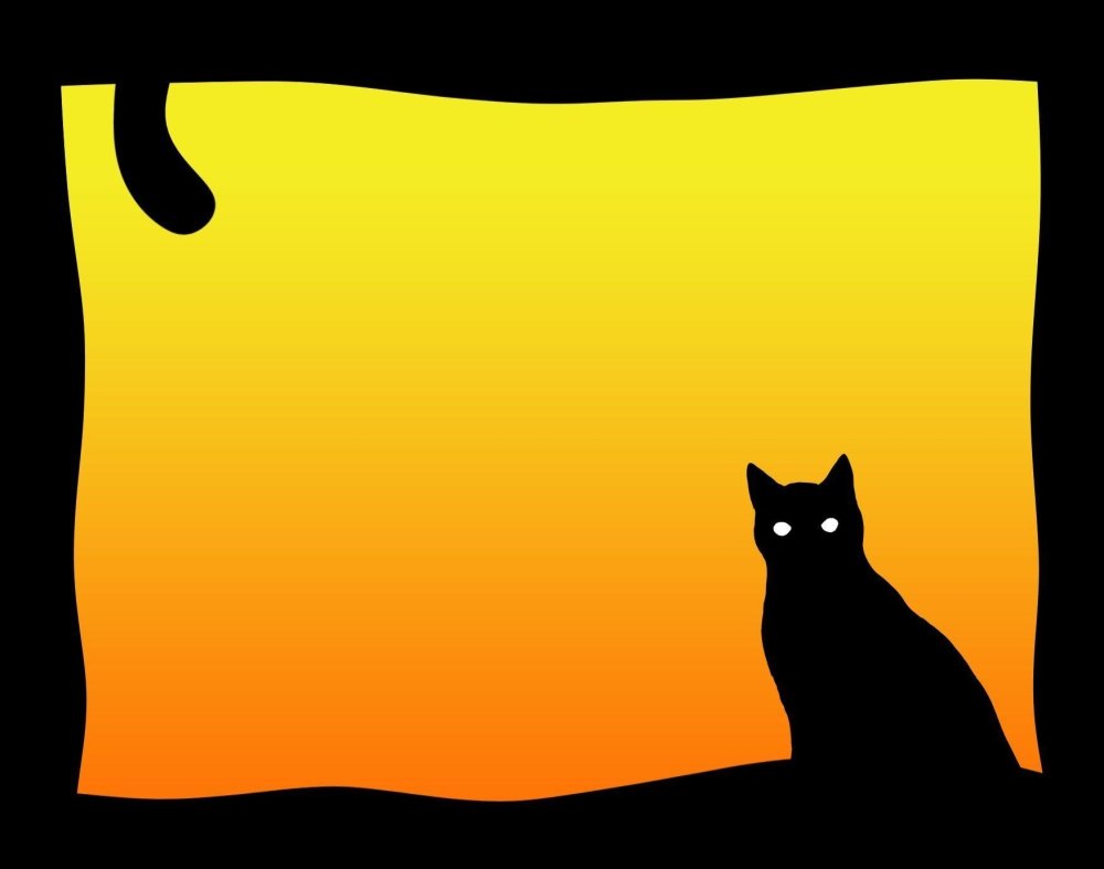 Котик на оранжевом фоне