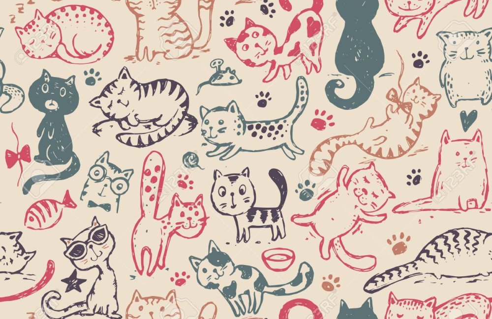 Котики много черно белые