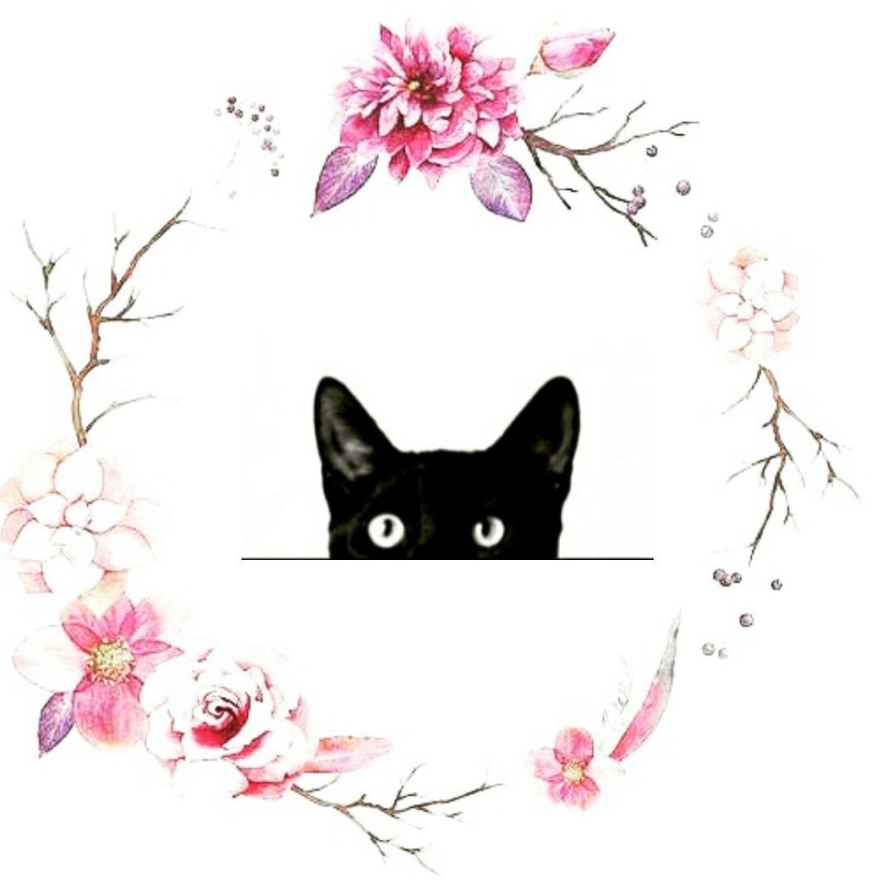 Кот йога вектор