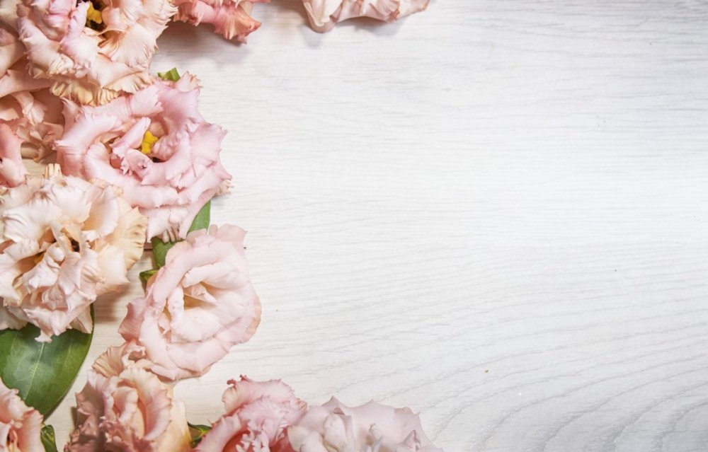 Фотообои цветы