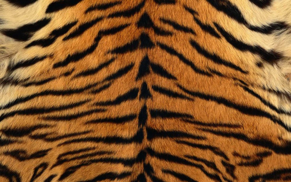 Шкурка тигра