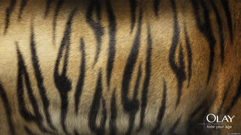 Тигриная шкура фон