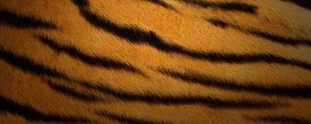 Тигровый цвет