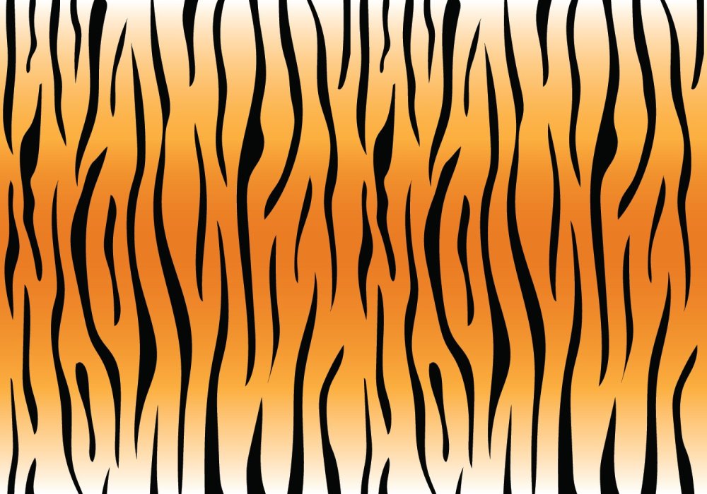 Полоски тигра