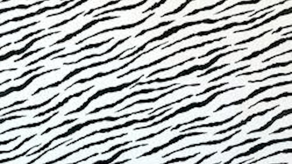 Пятна зебры