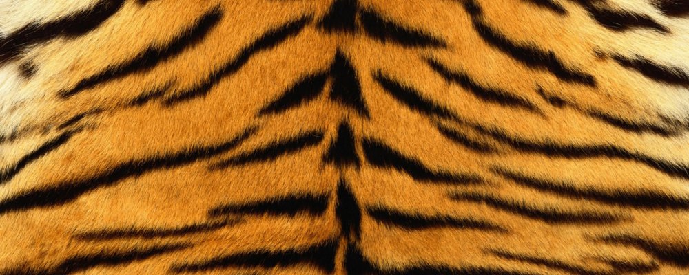 Полосатый мех