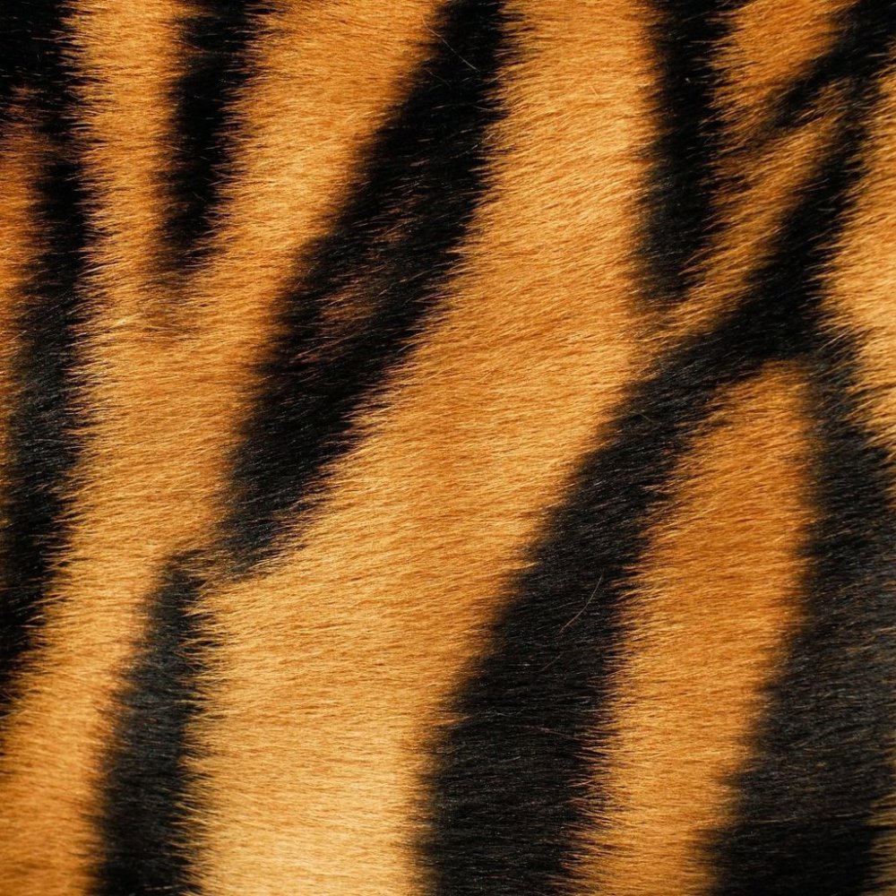 Тигровый фон