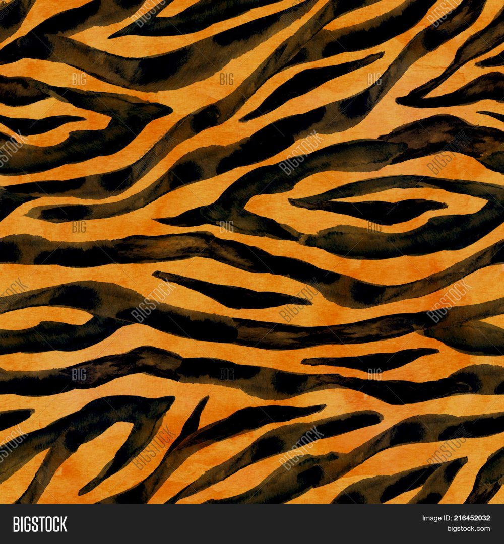 Тигриный окрас, Тигриная шкура