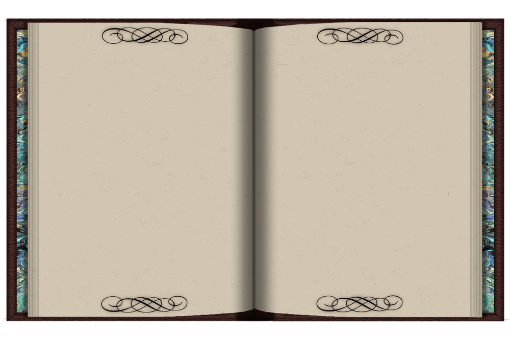 Книга с пустыми страницами