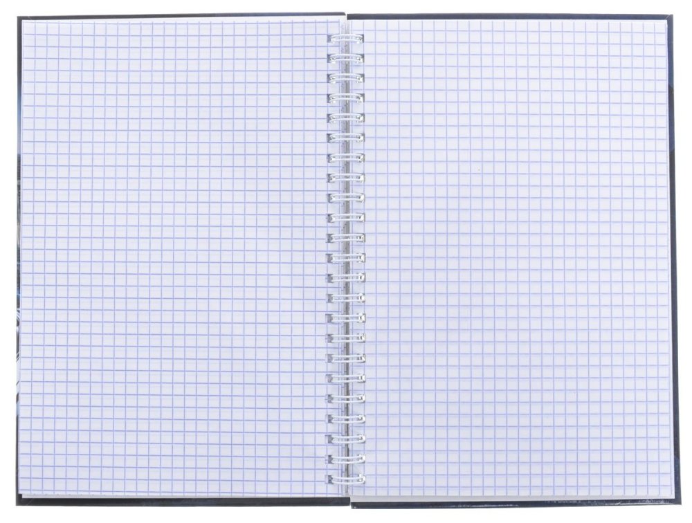 Тетрадь в клетку