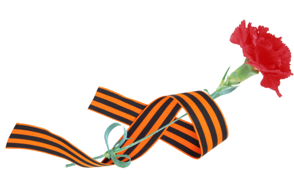 Гвоздики с георгиевской лентой