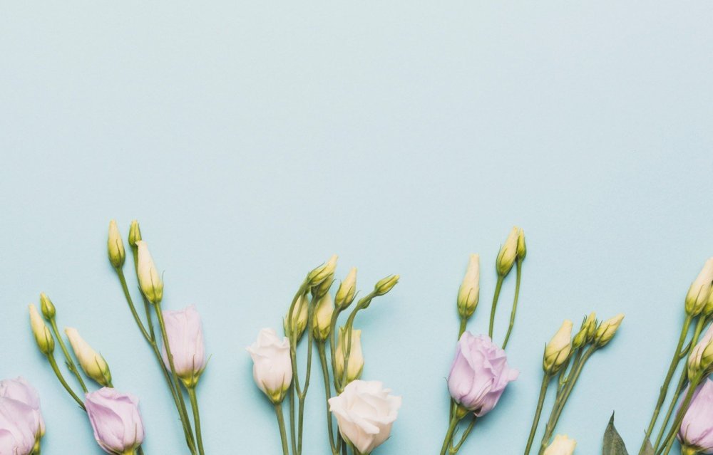 Цветы Минимализм