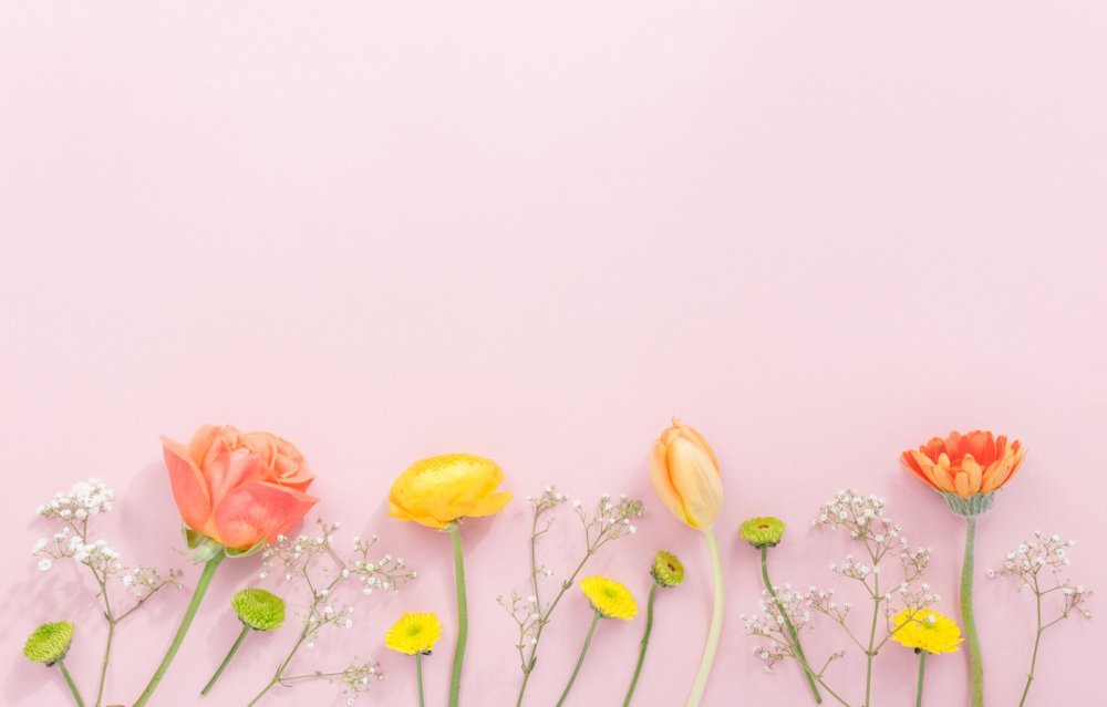 Летние цветы Минимализм