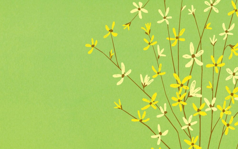 Весенние цветы Минимализм