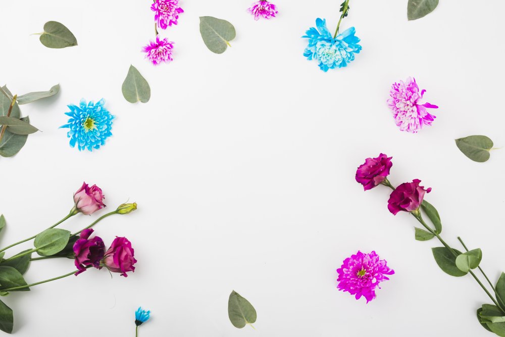 Цветы на столе вид сверху