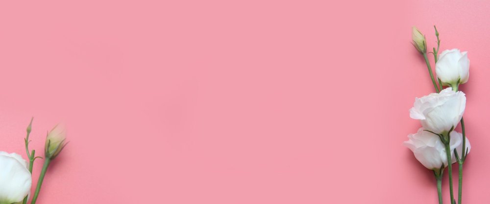 Цветы Минимализм