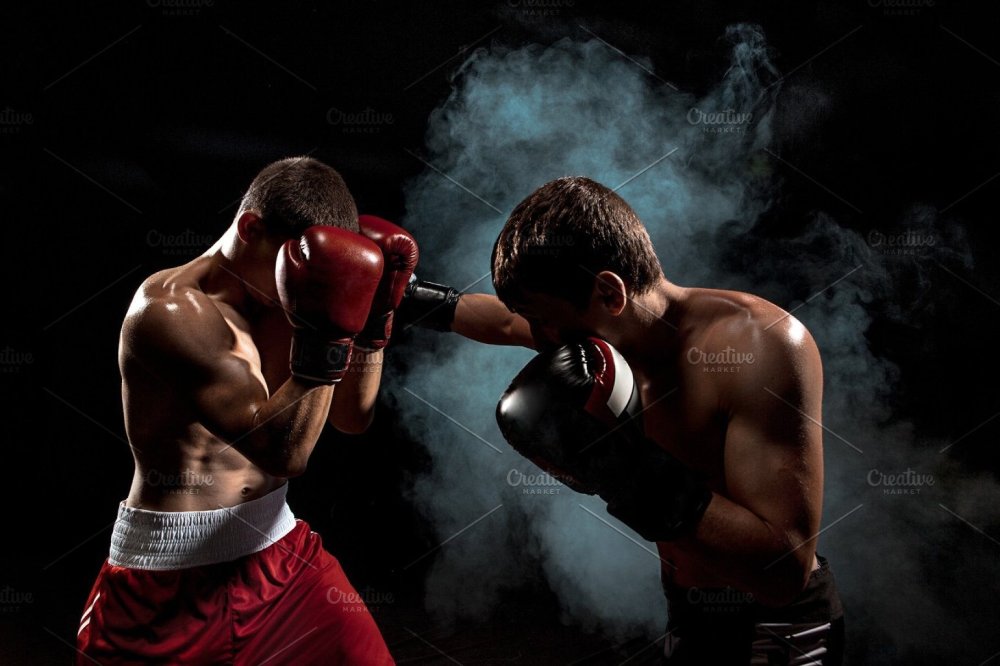 Боксер на темном фоне