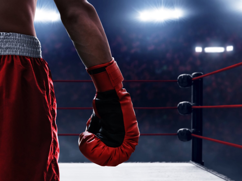 Красивый бокс