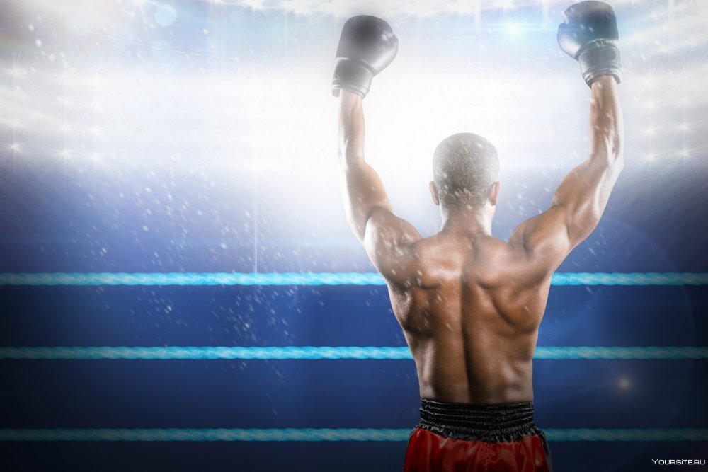 Победитель на ринге