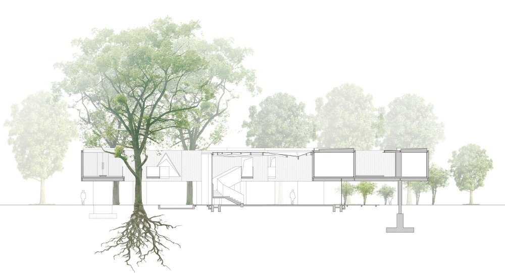 Разрез ландшафта