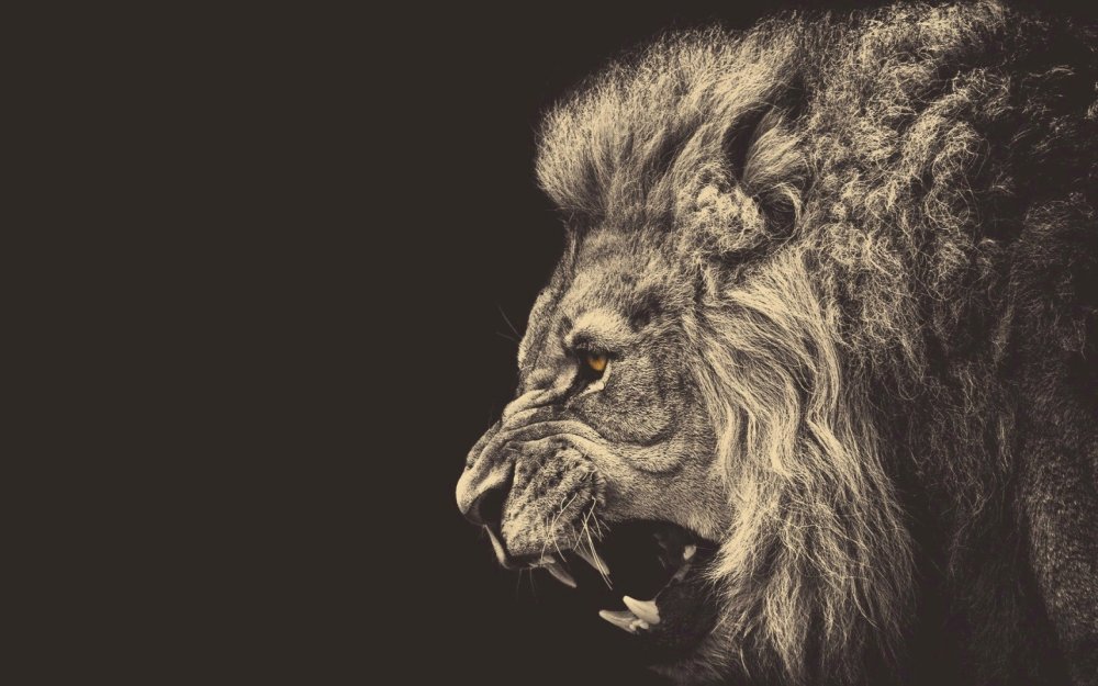 Лев с огненными глазами