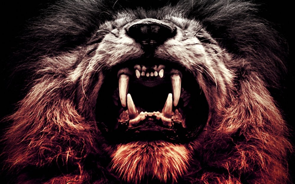 Спокойствие Льва