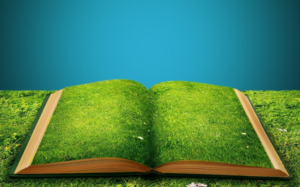 Книга с пустыми страницами