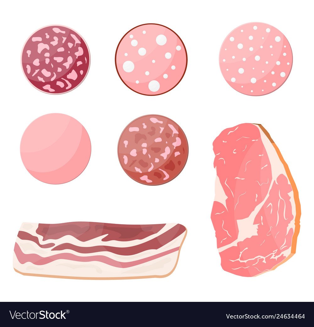 Кусок колбасы вектор