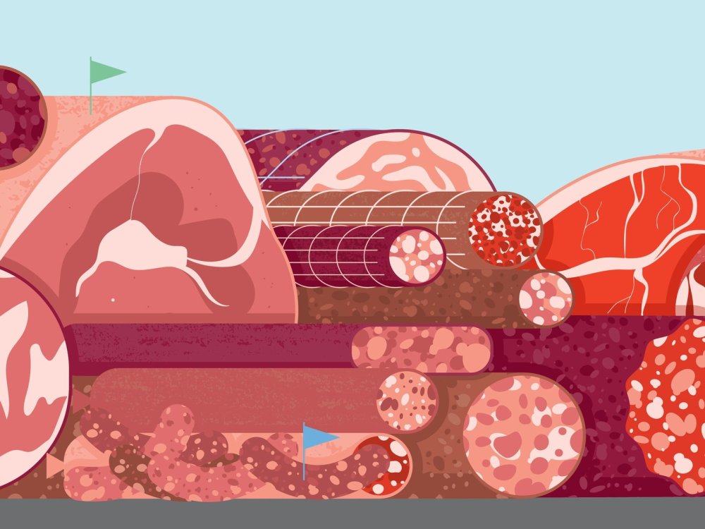 Срез колбасы вектор