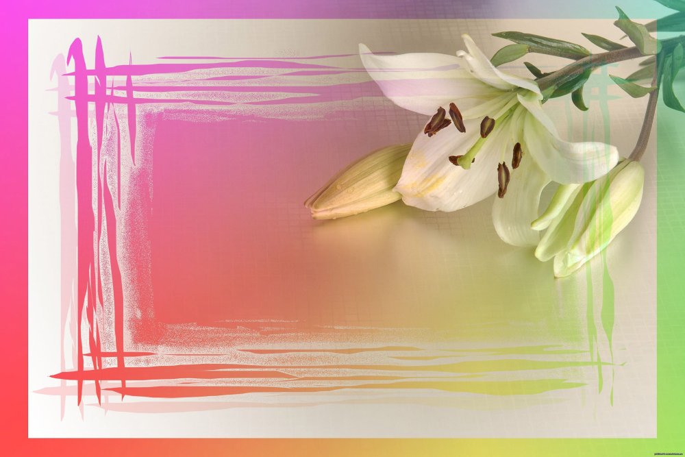 Подложки для открыток с днем рождения