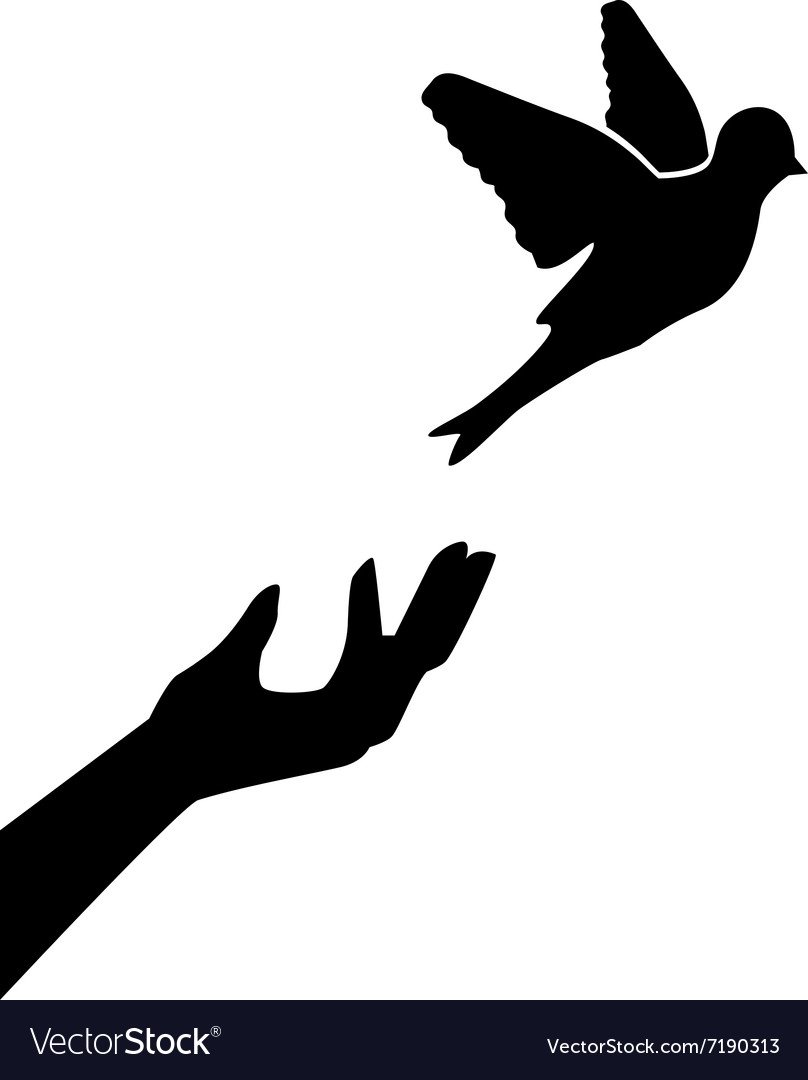 Птица в руках рисунок