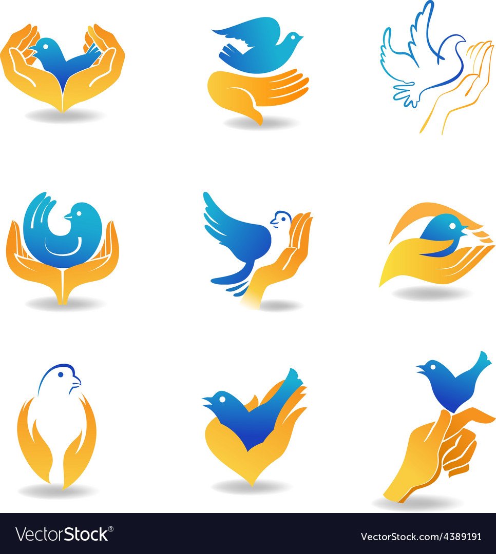 Птицы в небе без фона