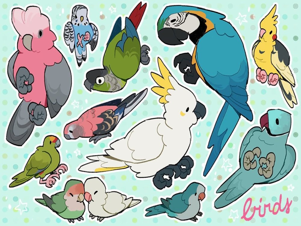 Синица в руках