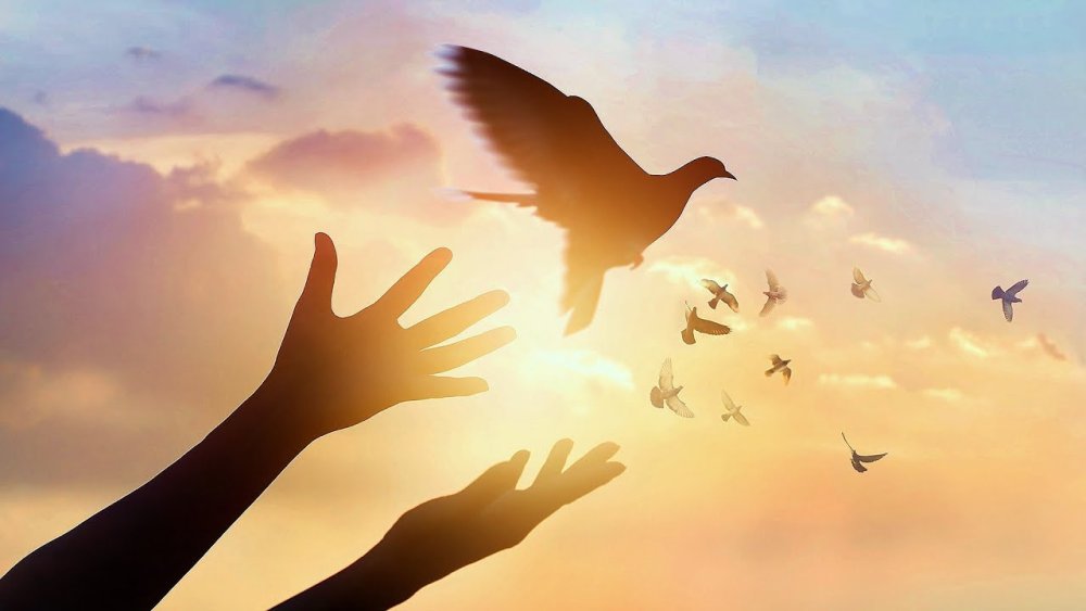 Птица на ладони