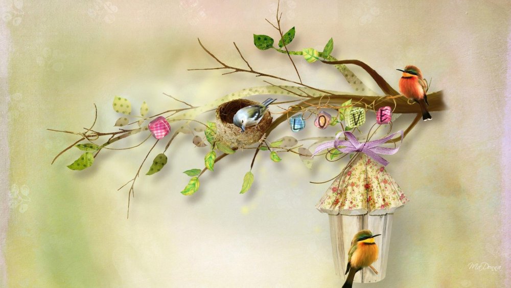 Птицы Эстетика