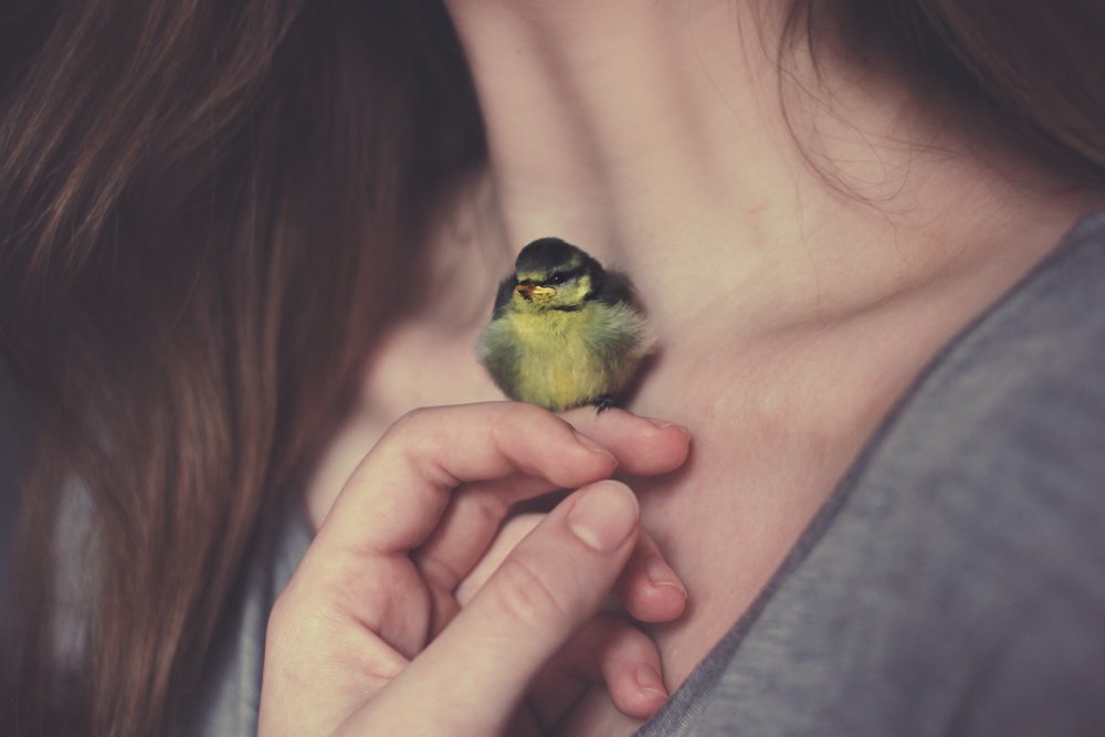 Красивый цветочный принт