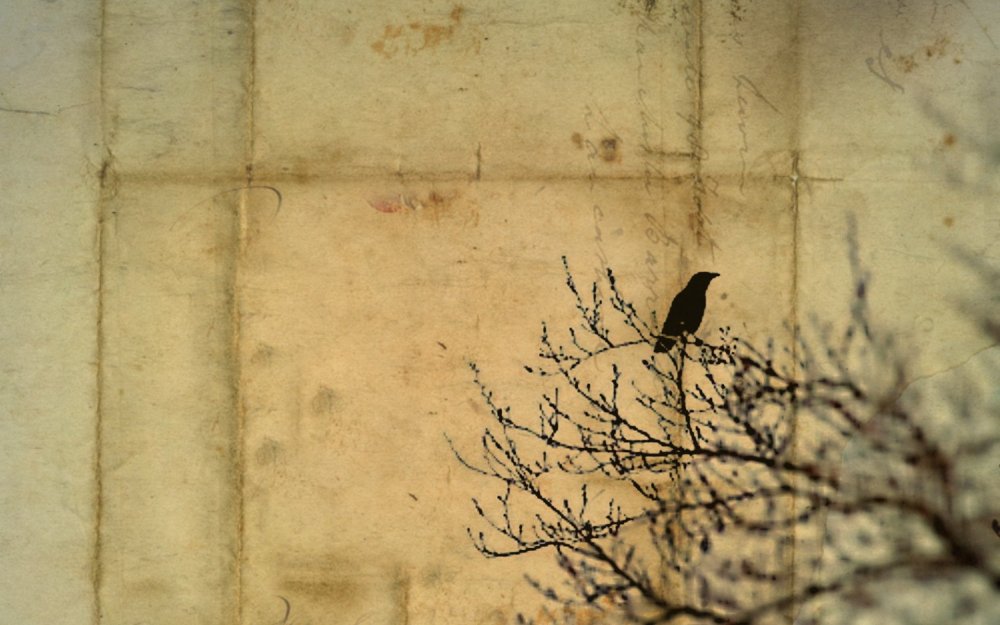 Птицы ладошками