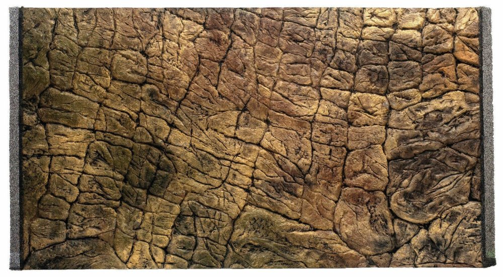 Задняя стенка террариума