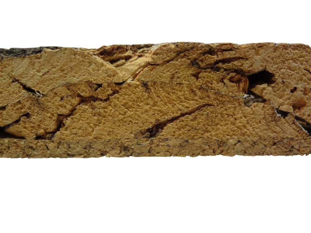 Террариум Hydroterra Jungle