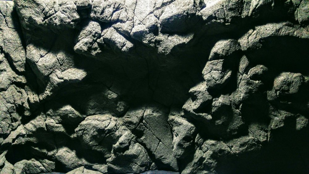 Объемный фон для террариума