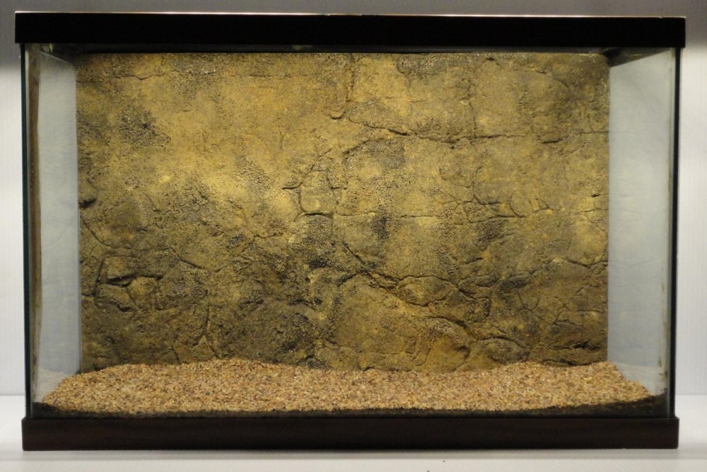 Фон для террариума эублефара