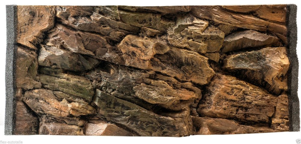 Объемный фон для террариума 50*30