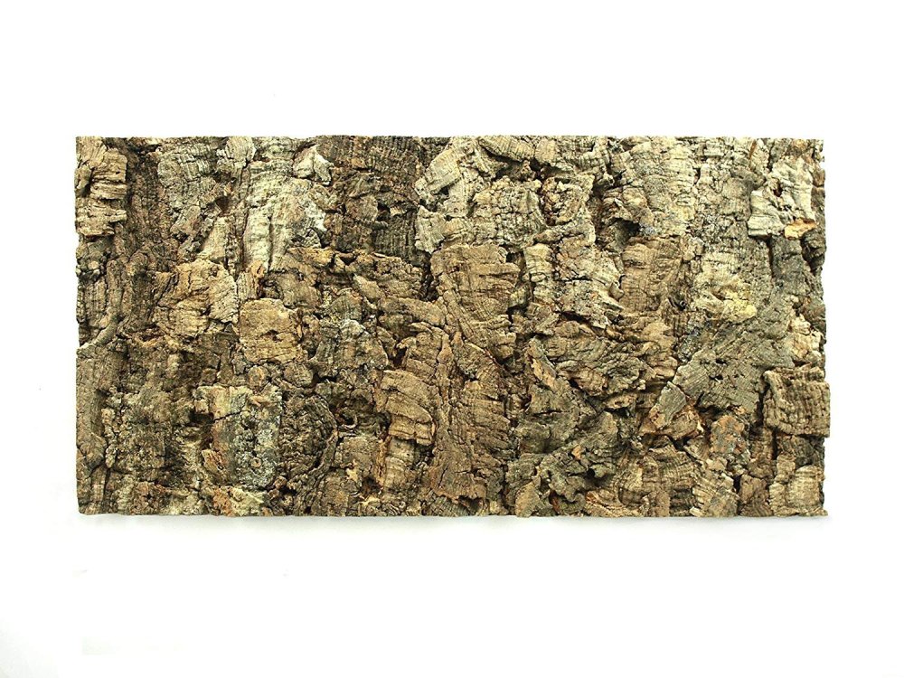 Задний фон для террариума