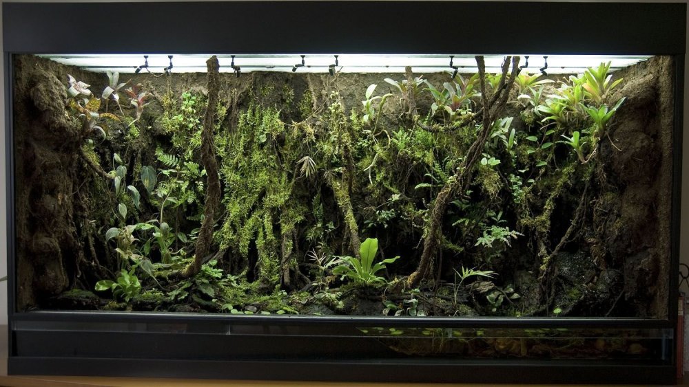 Фон для террариума своими руками