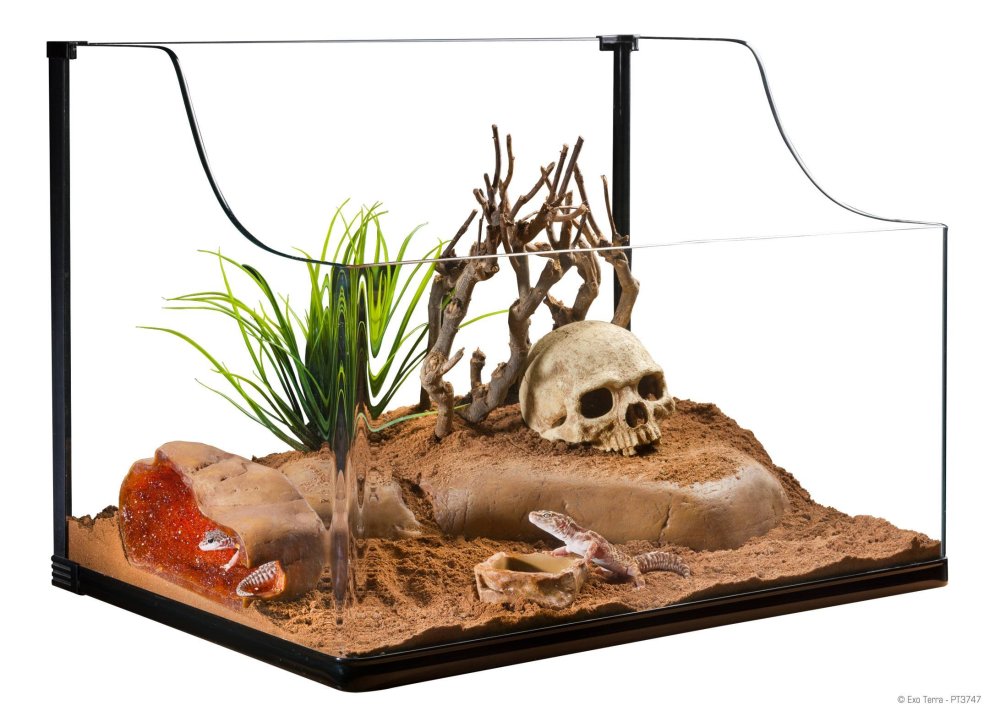 Террариум Lucky Reptile агам