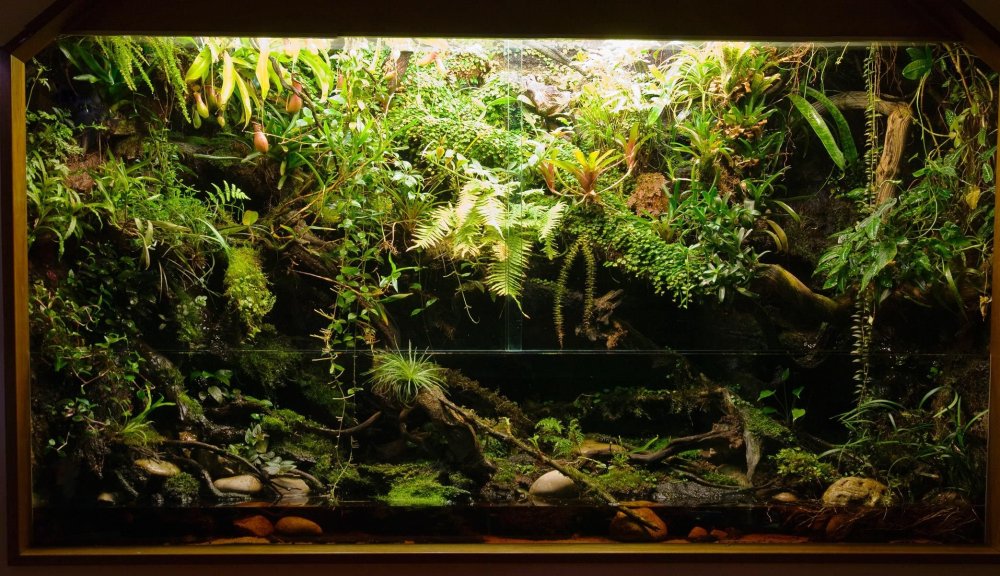 Деревянный фон с листьями